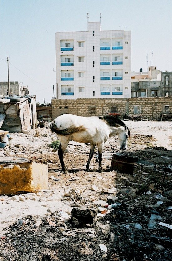 Senegal, Christophe Negrel
