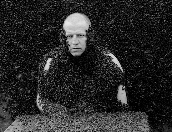 Springtime, Jeroen Eisinga