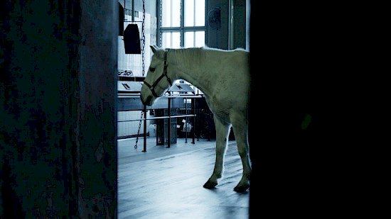 Berghain After Hours, Steffen Köhn