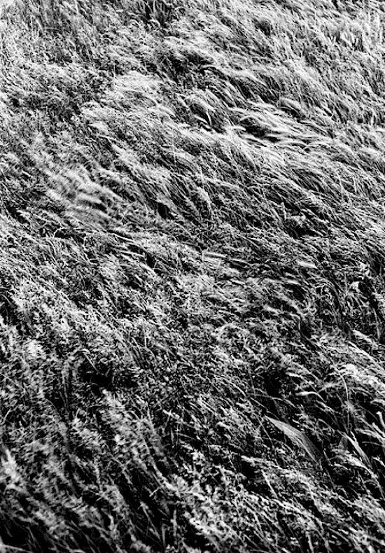 (reblogged from Inventory)